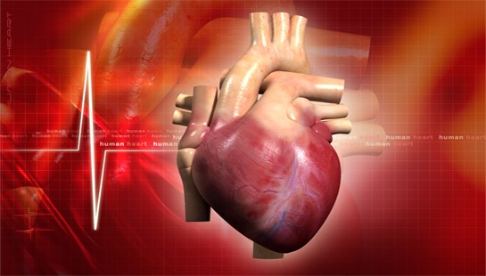 FARMACOLOGÍA CARDIOVASCULAR