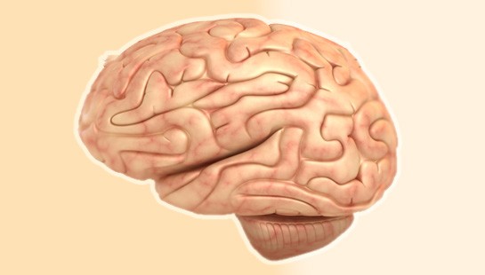 FARMACOLOGÍA DEL SISTEMA NERVIOSO CENTRAL